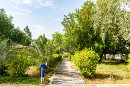دانشگاه