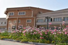 سازمان مرکزی دانشگاه