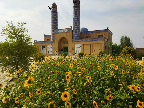 عکس