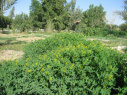 تصاویری از دانشگاه
