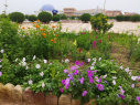 تصاویری از دانشگاه